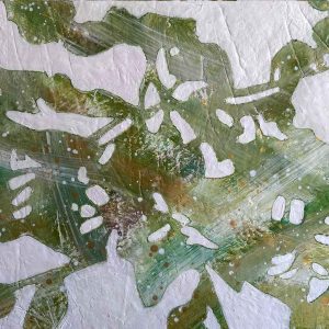 Canopy of Light - Image 4